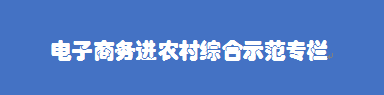 電子商務進農村綜合示范專欄